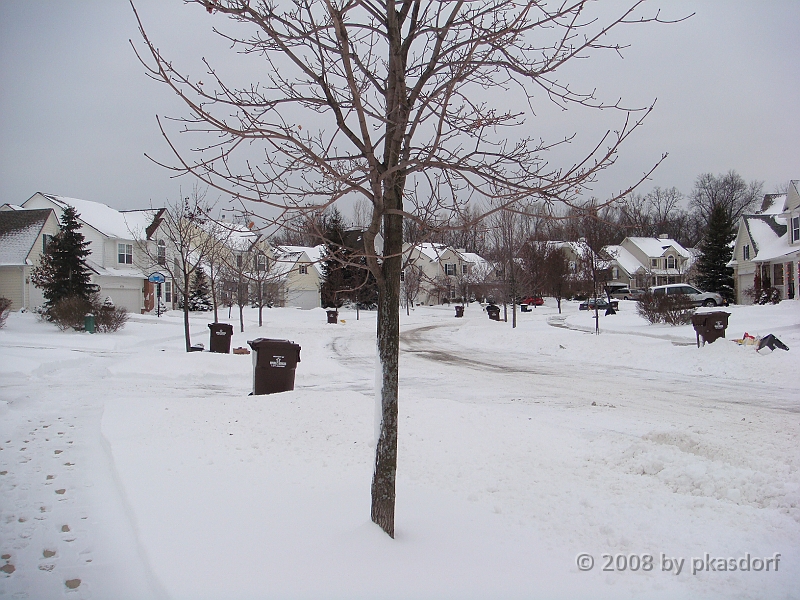 011 A2 Snowfall & Trees [2008 Dec 20].JPG - Digging out after a big snowfall in Ann Arbor, Michigan.